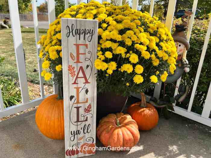 Fall decor ideas outdoors